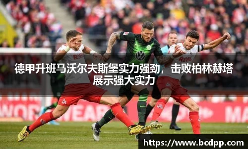 Bibo必博官网