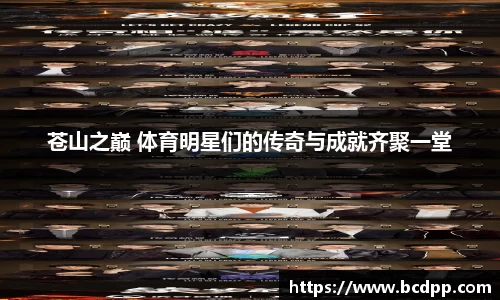 必博(中国)Bibo·官方网站