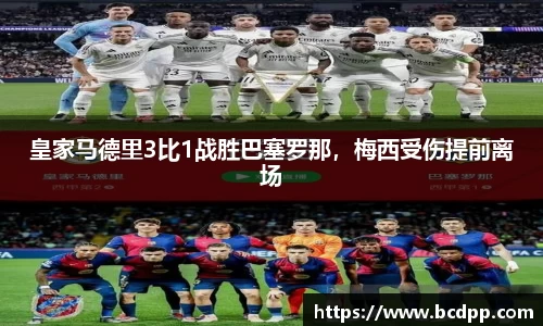 Bibo必博