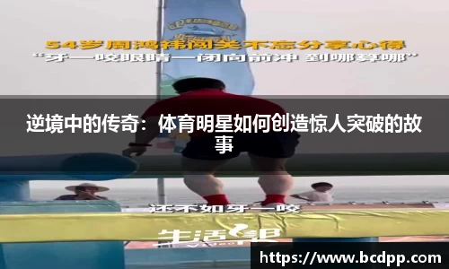 Bibo必博官网