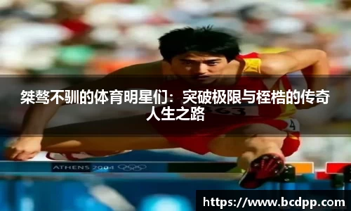 Bibo必博官网