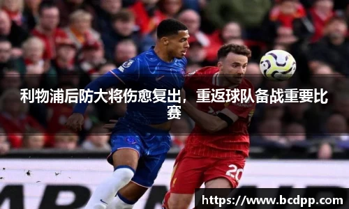 Bibo必博官网