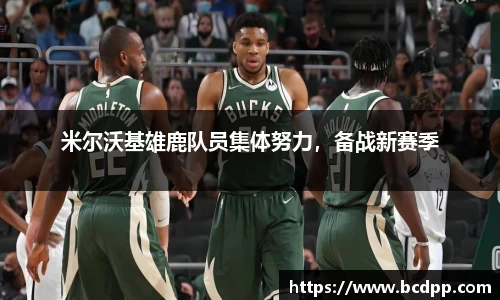 Bibo必博官网