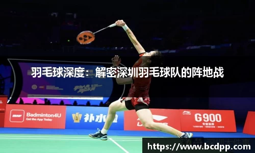 Bibo必博官网