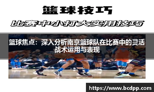 Bibo必博官网