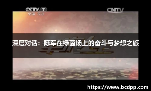 Bibo必博
