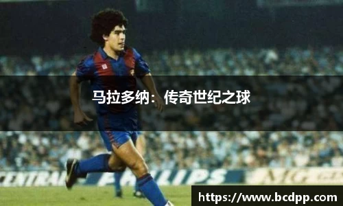 Bibo必博官网