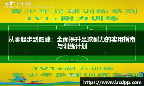 Bibo必博官网