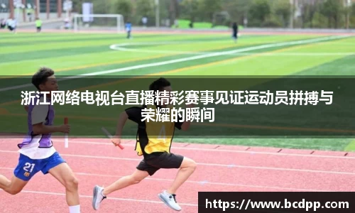 Bibo必博
