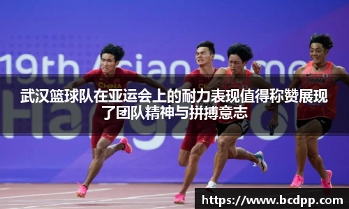 Bibo必博官网
