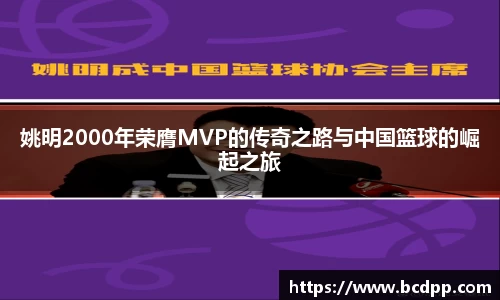 Bibo必博官方网站