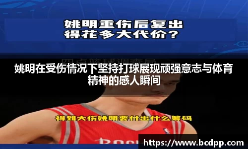 必博(中国)Bibo·官方网站