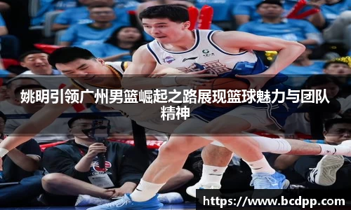 Bibo必博官方网站