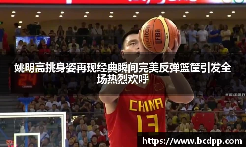 Bibo必博官方网站