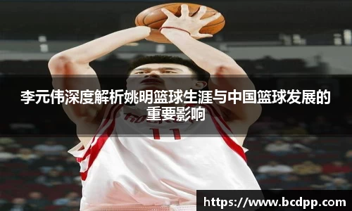 Bibo必博官网