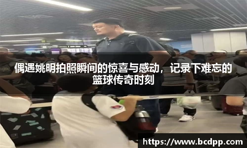 Bibo必博官网