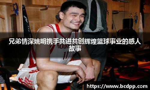 Bibo必博官方网站