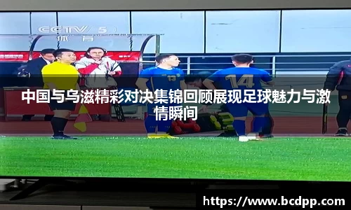 Bibo必博官网