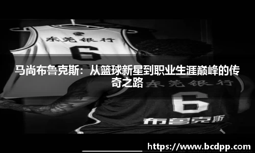 Bibo必博官网