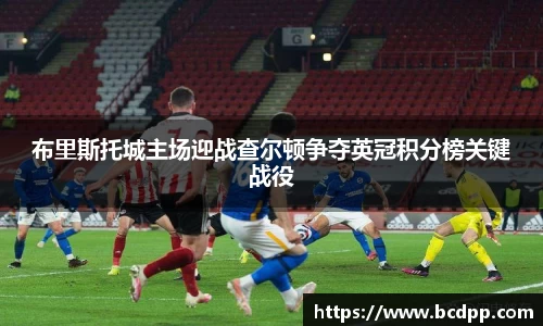 Bibo必博