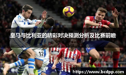 Bibo必博官网