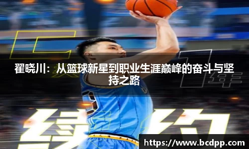 Bibo必博官方网站