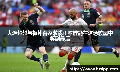 Bibo必博官方网站