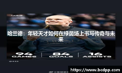 Bibo必博官网