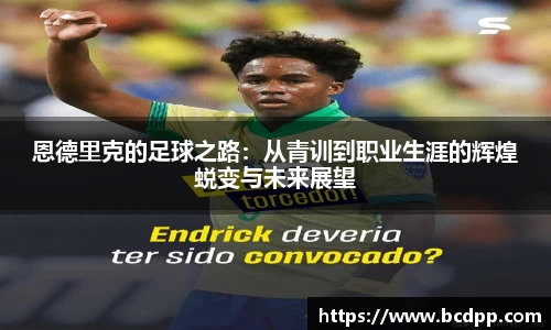 Bibo必博官网