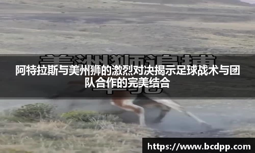 Bibo必博