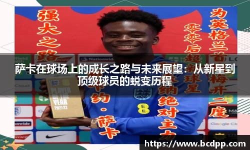 Bibo必博官网