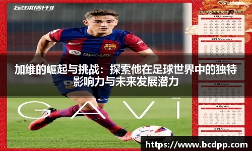 Bibo必博官网