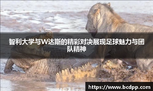 Bibo必博官方网站
