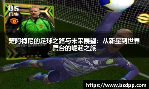 Bibo必博