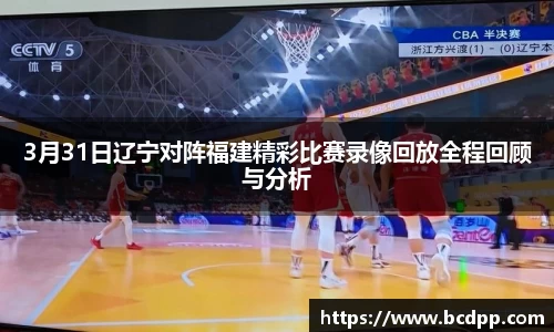 Bibo必博官网