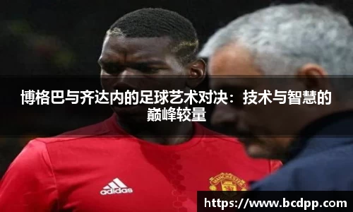 Bibo必博官网