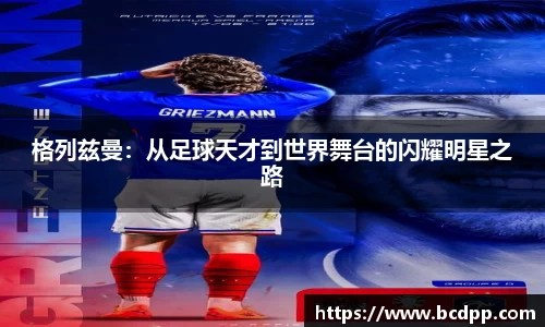 Bibo必博官网