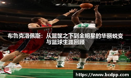 Bibo必博官方网站