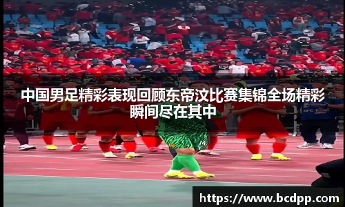 Bibo必博
