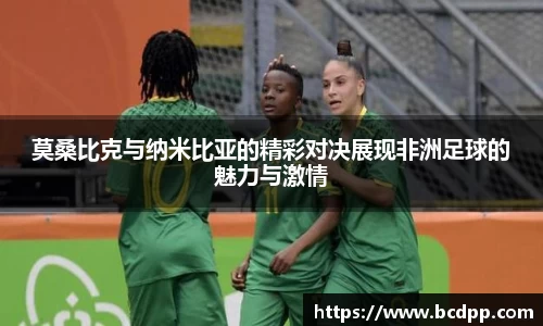 Bibo必博官方网站