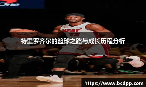 Bibo必博官网