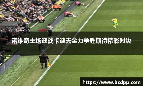 Bibo必博