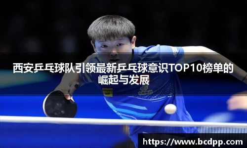 Bibo必博官网