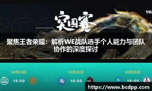 必博(中国)Bibo·官方网站