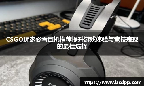 Bibo必博