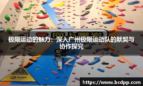 Bibo必博官网