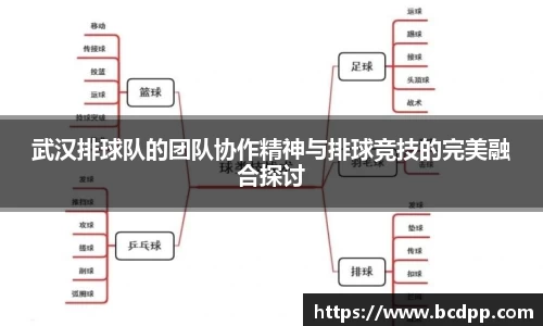 必博(中国)Bibo·官方网站